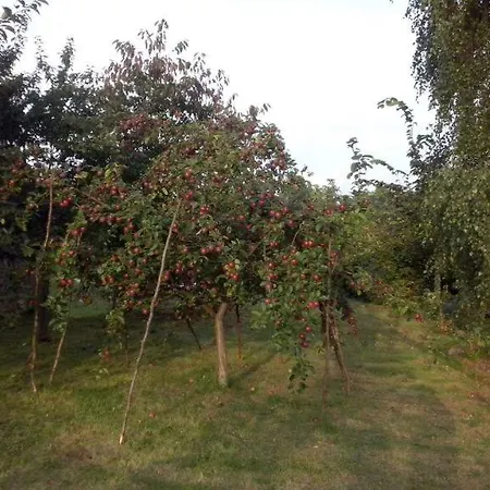Farm stay Agrokorytnica