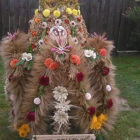 Agrokorytnica Gospodarstwo agroturystyczne *