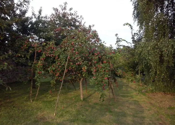 مزرعة للإقامة Agrokorytnica