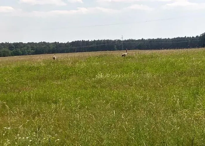 Agrokorytnica * Stara Korytnica