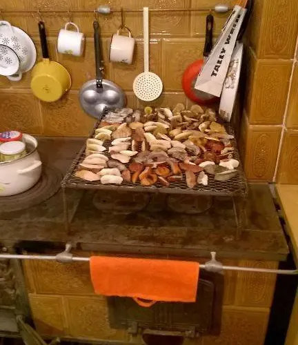 Agrokorytnica مزرعة للإقامة *