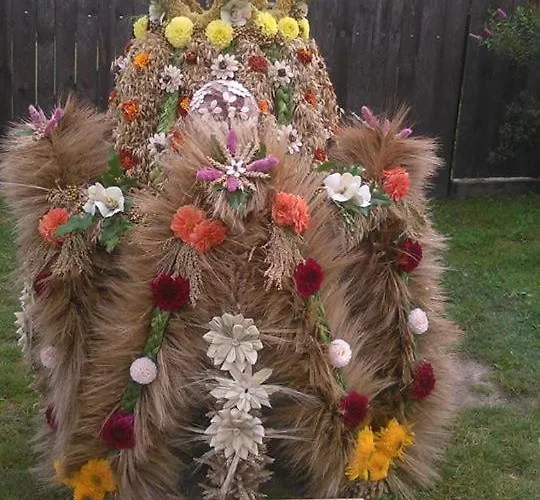 Agrokorytnica مزرعة للإقامة *